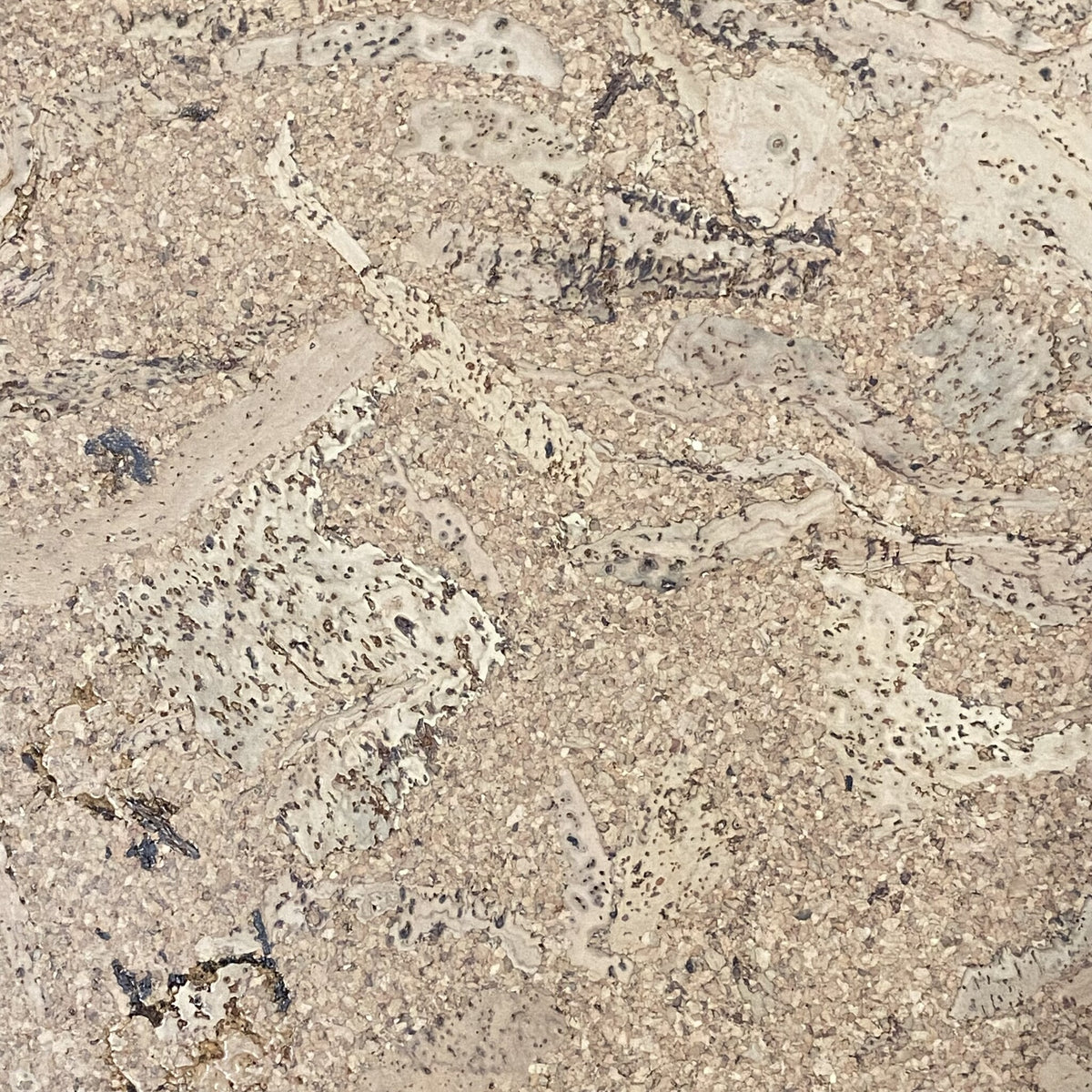 ClimaCork Gelakte plak kurkvloer - Orione - 60 x 30 cm. - per m²