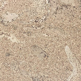 ClimaCork Gelakte plak kurkvloer - Orione - 60 x 30 cm. - per m²