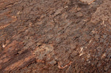 Kurk24 Achterwand terrarium - Kurkplaat Bark - 60x29,5cm