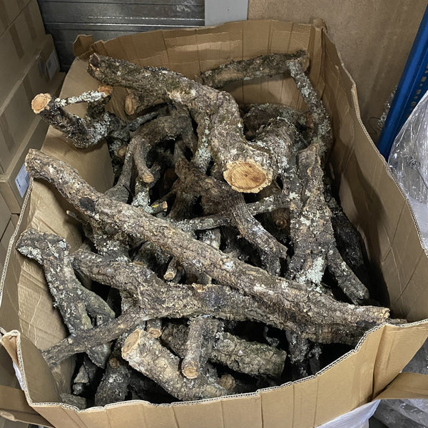 Kurk Takken - Boomstammen Per 10 kg