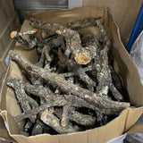 Kurk24 Kurk Takken - Boomstammetjes Per 2,5 kg
