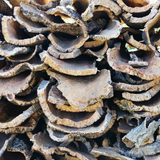 Kurk24 Kurkschors Plat - Per KG