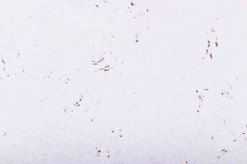 Kurk24 Prikwand kurkplaat - Snow - 60 x 30 cm - 5mm dik