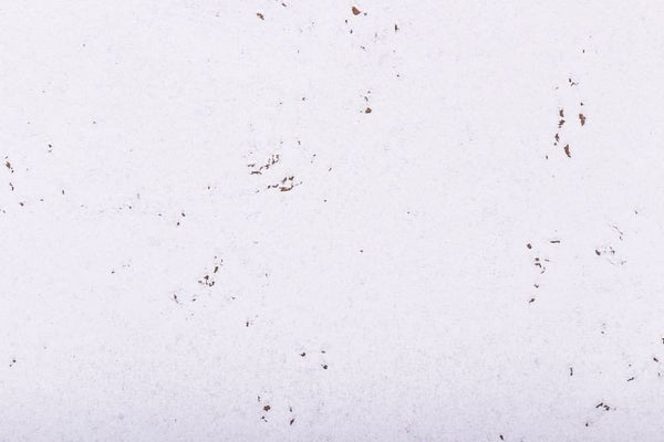 Opslagstavle korkplade - Sne - 60 x 30 cm - 5mm tyk - pr stk