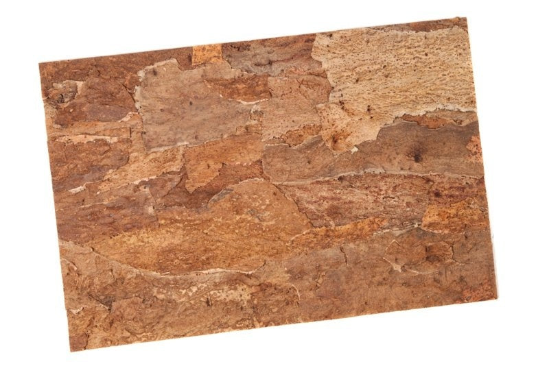 Kurk24 Wandkork platte - Cork Forest Back - 60 x 90 cm