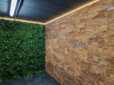 Kurk24 Wandkork platte - Cork Forest Back - 60 x 90 cm