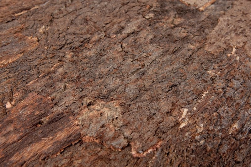 Kurk24 Wandkurk plaat - Cork Bark - 60 x 90 cm