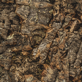 Kurk24 Wandkurk plaat - Cork Forest - 60 x 29,5cm