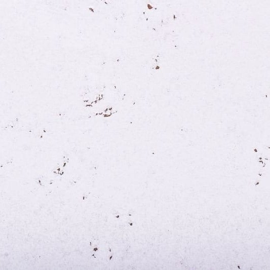 Wand decorationkork - Schnee weiss - 60 x 30 cm - 3mm Stärke - Pro m²